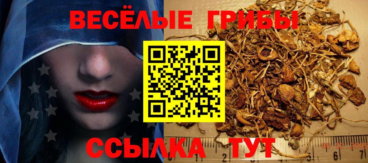 Псилоцибиновые грибы Psilocybe  Вход с VPN  Галлюциногенные грибы мицелий  Алейск 