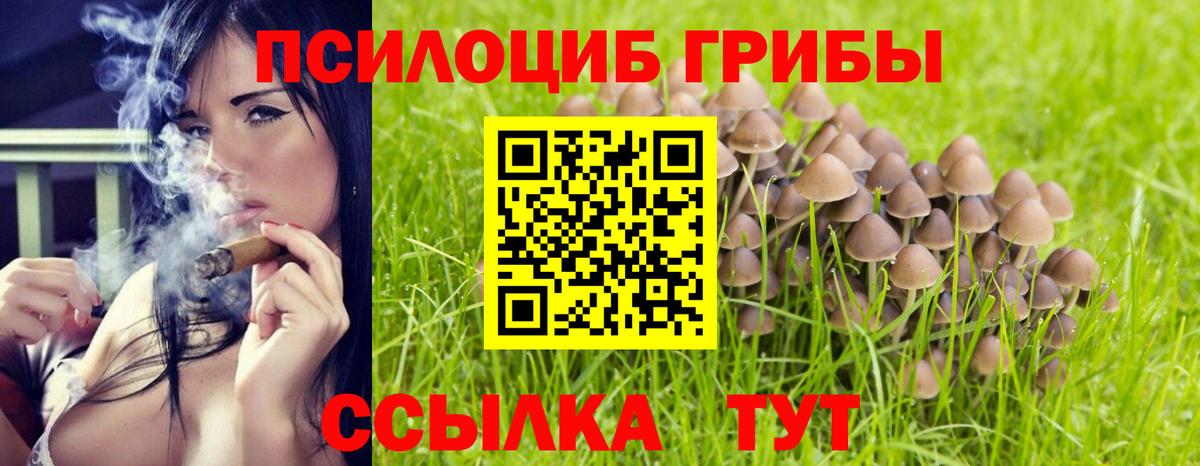 Галлюциногенные грибы мухоморы Алейск