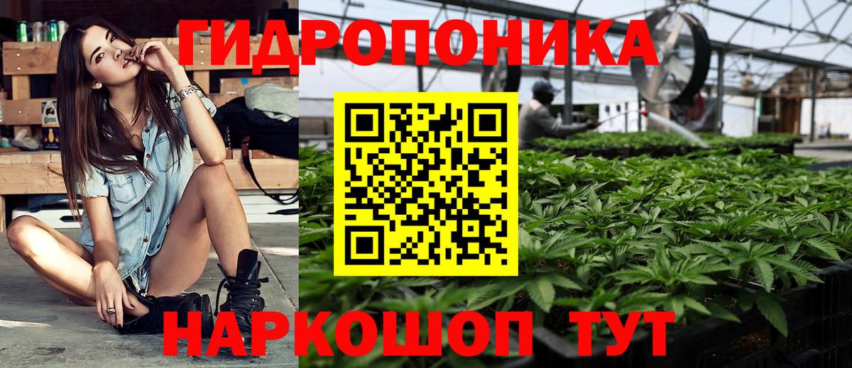 Каннабис семена  Конопля THC 21%  Алейск  Конопля марихуана  Канабис AK-47  Вход с VPN 